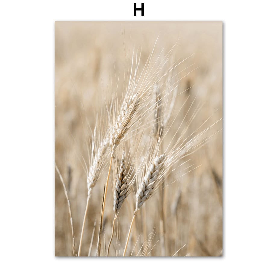 Pampas Grass Poster — Beige & Nude Wall Art Print, Unframed
